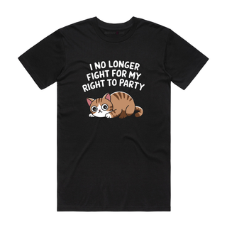 I No Longer Fight (Coloured) - Cat T-Shirt - Black